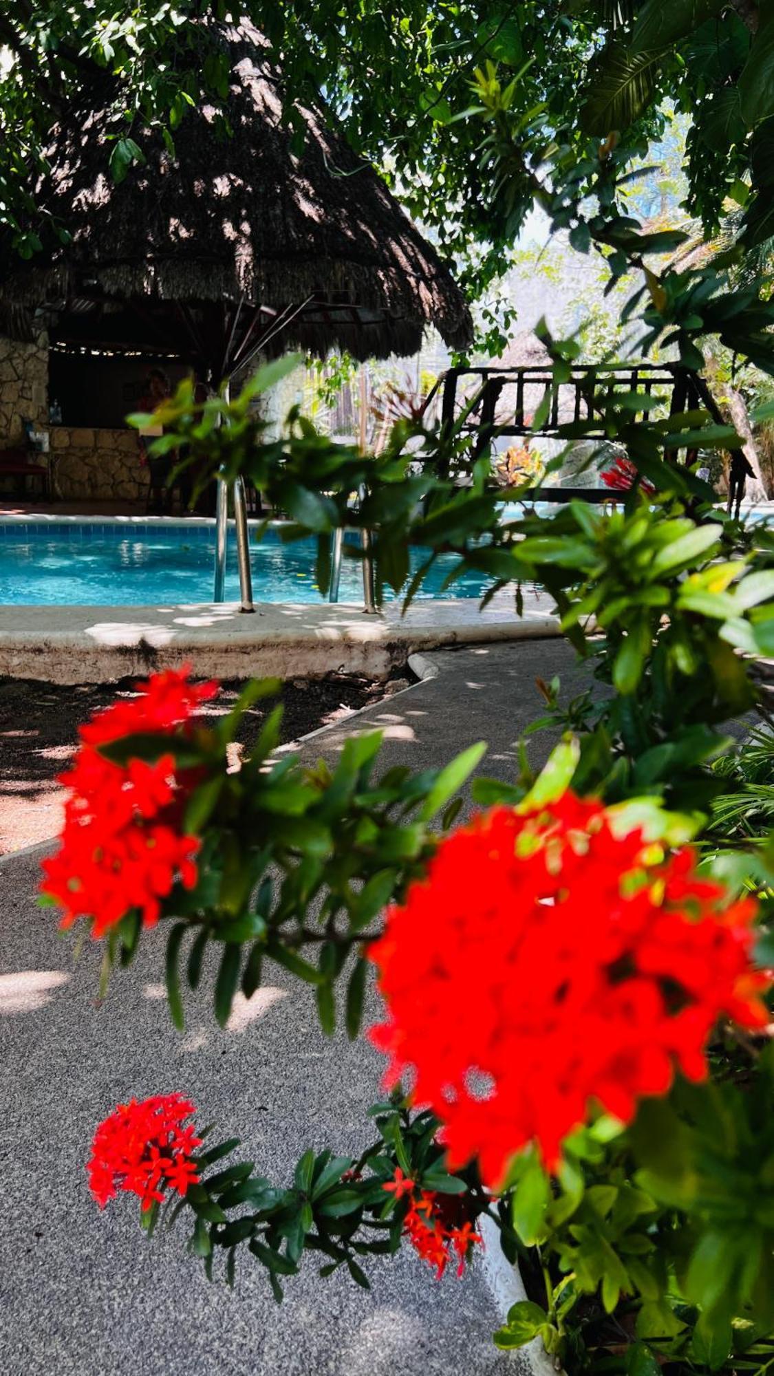 Mayan Art Hotel 10 Avenue Playa del Carmen Exterior photo
